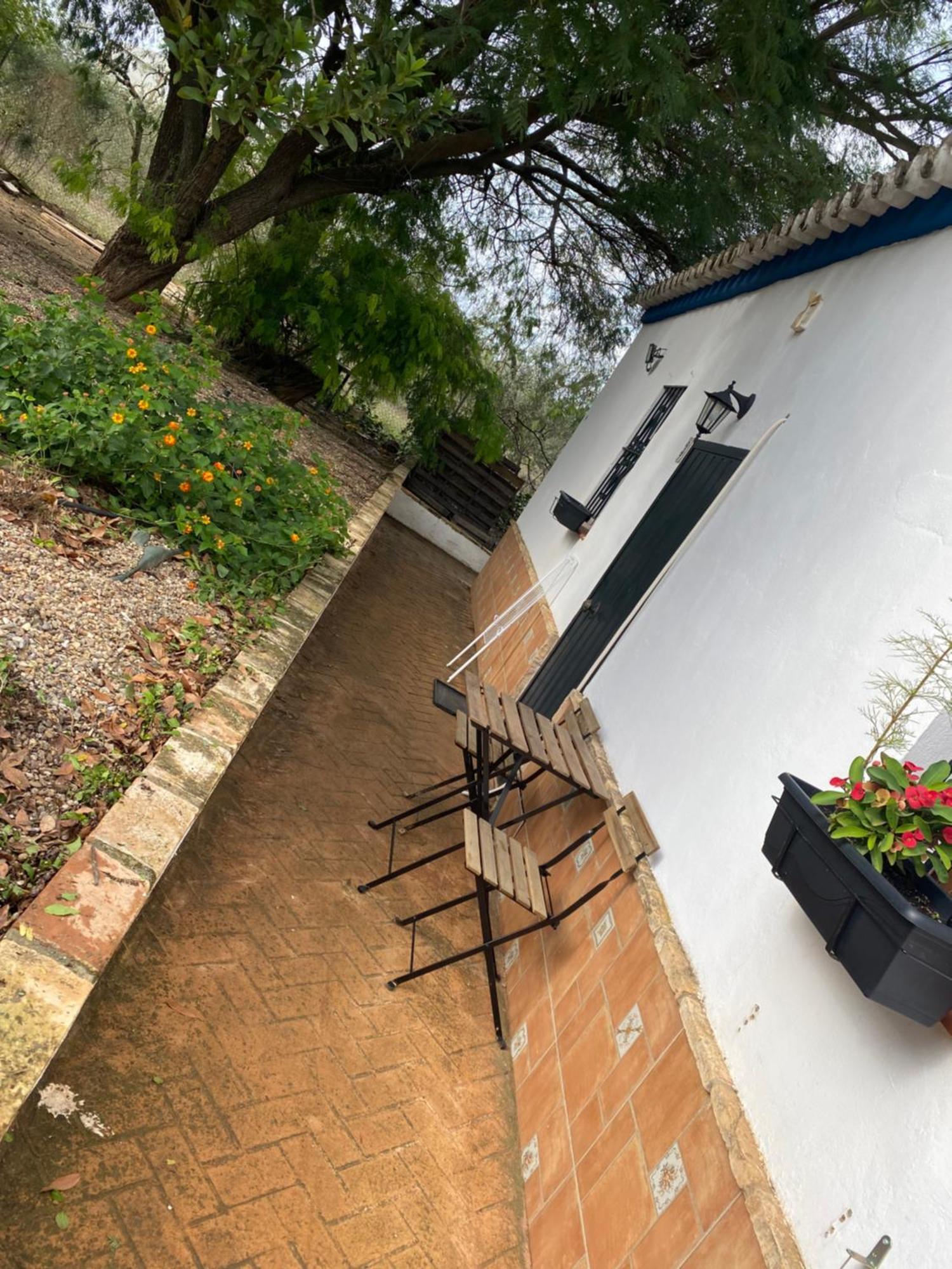 Casa Los Laureles Pilas Zewnętrze zdjęcie