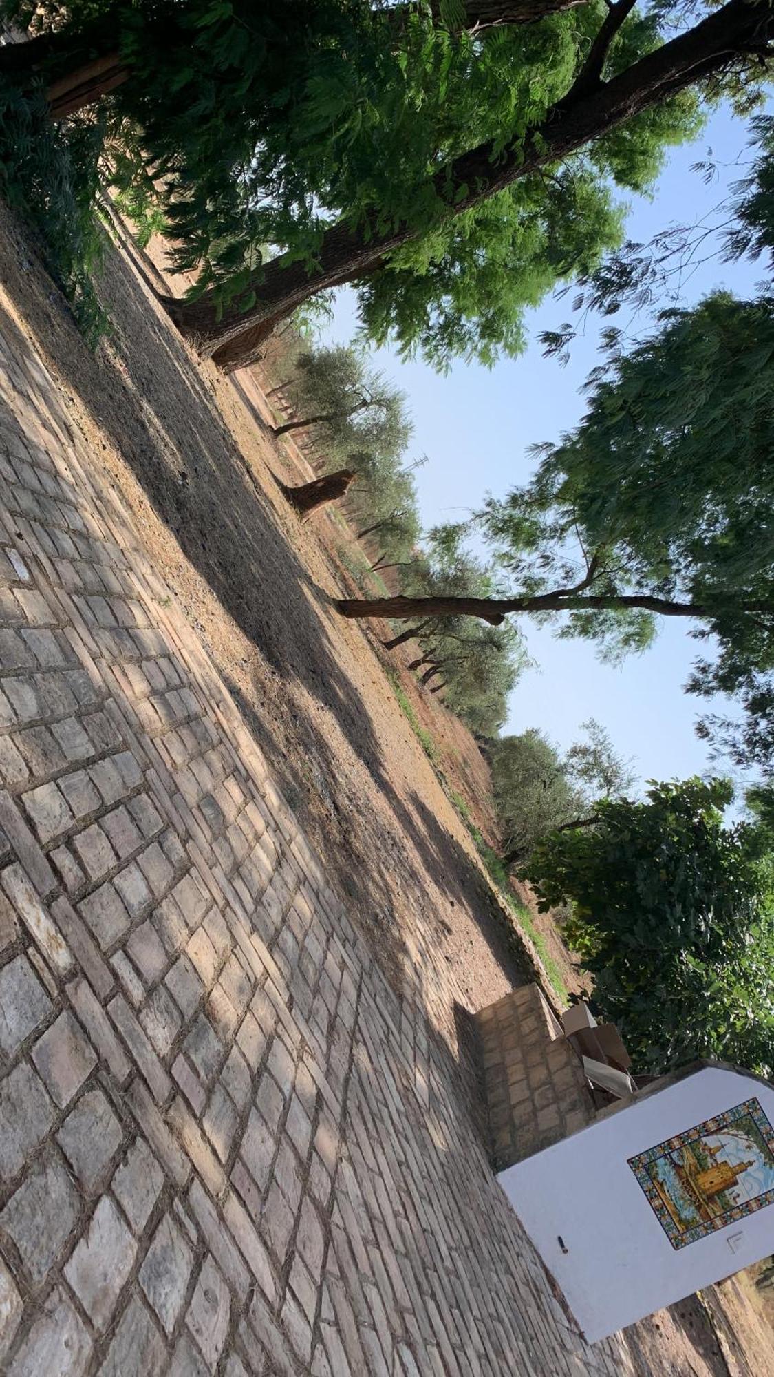 Casa Los Laureles Pilas Zewnętrze zdjęcie